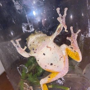 Meet your Posher, Maddie